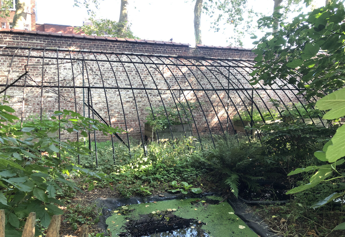 The current greenhouses of the Sint-Ursula school